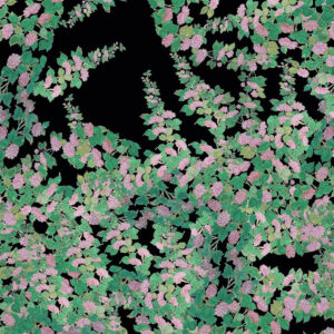 KIMONO SENPU NOIR NOIRNOIR